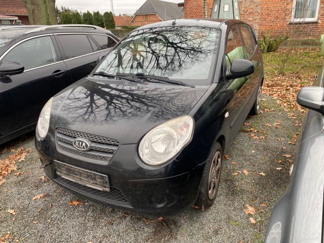 Kia Picanto 1.1 Start, erste Hand