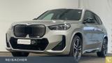BMW IX1 A XDRIVE30 MSport RFK PDC DAB SHZ LED 19" LM - silberne BMW iX1