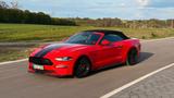 Ford Mustang GT 5.0 V8 Cabrio Premium
