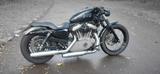 Harley-Davidson Sportster Nightster - HARLEY-DAVIDSON NIGHTSTER
