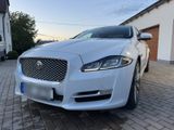 Jaguar XJ 3.0diesel /  300PS - Jaguar XJ mit Diesel-Antrieb: 3.0