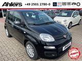 Fiat Panda +KLIMA+DIGICOCKPIT+PDC+ASSISTENTEN+5SITZER - Fiat Panda: Sitzer