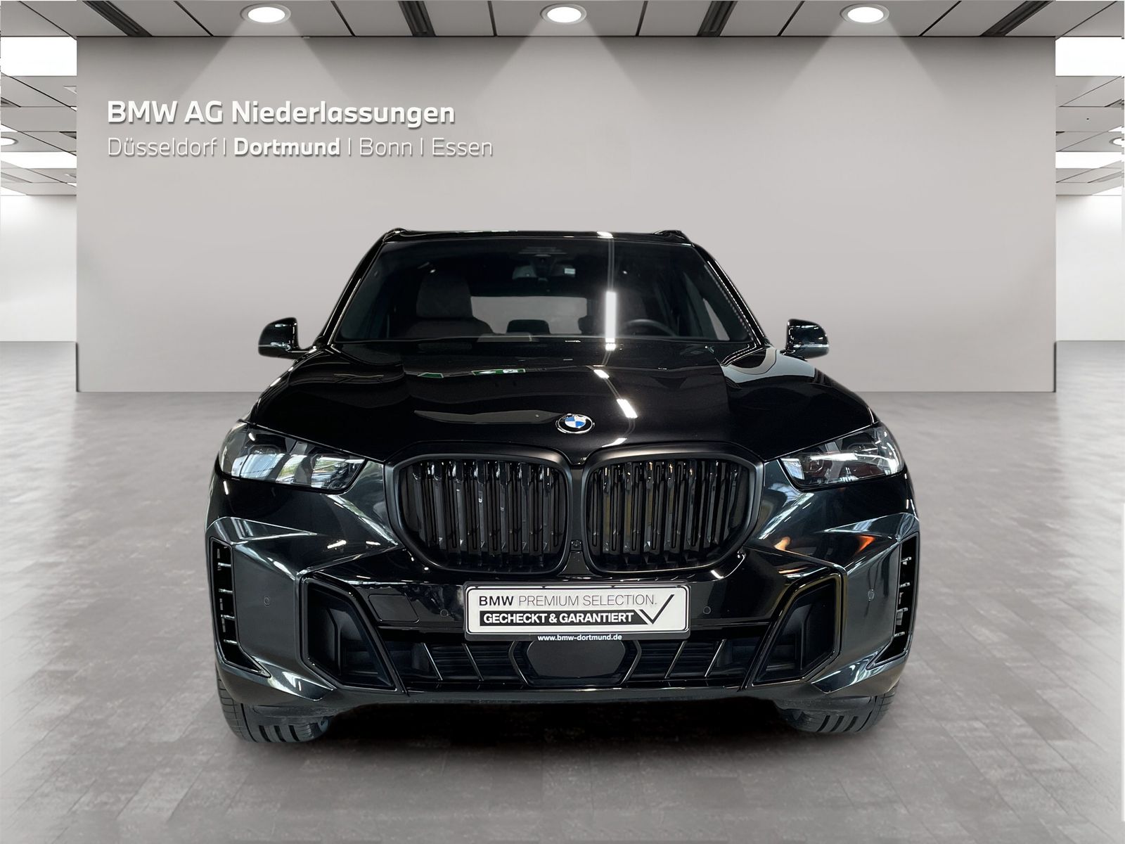 BMW X5 - Bild 8