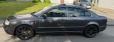 Skoda Superb 2.5 TDI V6 Elegance Tiptronic Elegance - Skoda Superb V6 mit Diesel-Antrieb