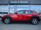 Mazda CX-30 *Sondermodell mit Top-Ausstattung in Bestz - : Geländewagen, Best