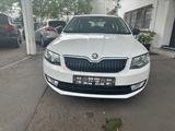 Skoda Octavia Combi Active - Skoda Gebrauchtwagen in Kassel
