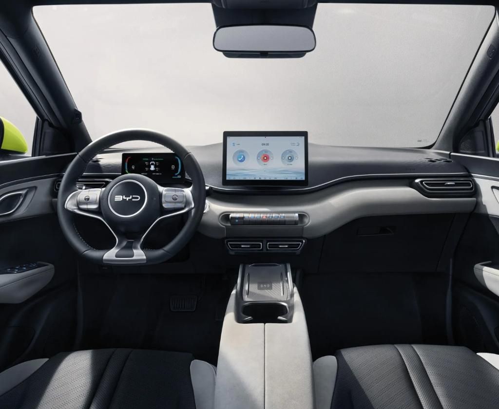 BYD DOLPHIN SURF