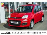 Fiat Pandina ICON Hybrid 1.0 GSE TEMPOMAT PDC LANE 5- - rote Fiat New Panda