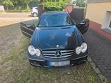 Mercedes-Benz Mercedes CLK 350 - Mercedes-Benz CLK 350: Coupe