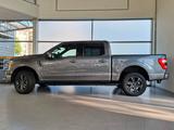 Ford F 150 - gebrauchte Ford F 150 aus dem Jahr 2024