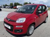Fiat Panda Easy Klima Allwetter Scheckheft - Fiat Panda: Rot