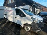 Opel Toller Transporter zum Verkauf - Opel: Transporter