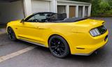Ford Mustang 5.0 Ti-VCT V8 Black Shadow Edition B... - Ford Mustang mit Benzin-Antrieb: Cabrio, 5.0