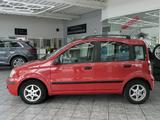 Fiat New Panda 1.2 8V Dynamic, GSHD, Servo, HU neu ! - Fiat New Panda Benziner Gebrauchtwagen
