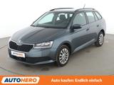 Skoda Fabia 1.0 TSI Ambition *TEMPO*SHZ*KLIMA*GARANTIE - Skoda Fabia Gebrauchtwagen in Frankfurt
