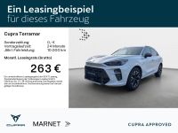 Cupra Terramar - Vorschau Bild 2