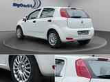 Fiat PuntoI Klima I PDC I 4Season - Fiat Punto Gebrauchtwagen