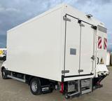 Iveco Daily 70C21 Kühlkoffer LBW Automatik - Angebote
