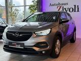 Opel Grandland (X)/Edition/LED/NAVI//KAMERA/PDC/