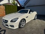 Mercedes-Benz SLK 200 Edition1 AMG Paket Panorama weiß diamond - Mercedes-Benz: Sl W