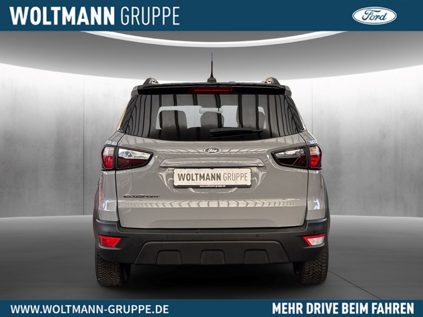 Fahrzeugabbildung Ford EcoSport Active Allwetter Winterpaket B&O NAVI D