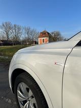 Audi Q8 50 TDI quattro tiptronic - - scheckheftgepflegte Audi Q8