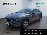 Mazda CX-30 SKYACTIV-X Selection *Matrix*ACC*HuD*360° - Mazda Gebrauchtwagen von 2020