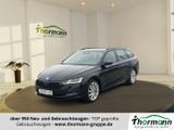 Skoda Octavia Combi 2,0 TDI DSG First Edition Navi LED - Skoda Vorführfahrzeuge