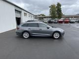 Skoda Octavia Combi 1.4 TSI DSG Style 144€ m. 20% Anza - Skoda Octavia: 14 Tsi