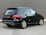 Mercedes-Benz ML 250 CDI BlueTec 4Matic Rkam Schiebedach TOP - Mercedes-Benz ML-Klasse Gebrauchtwagen in Frankfurt