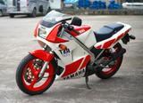 Yamaha TZR 250 - YAMAHA TZR