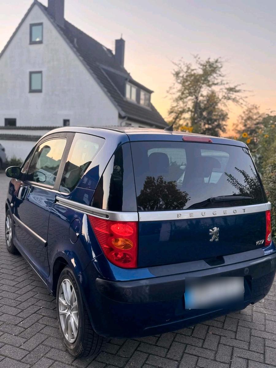 Peugeot 1007 2005 — салон