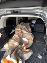 Smart #1 Premium " Liegewagen " - Smart #1 von privat