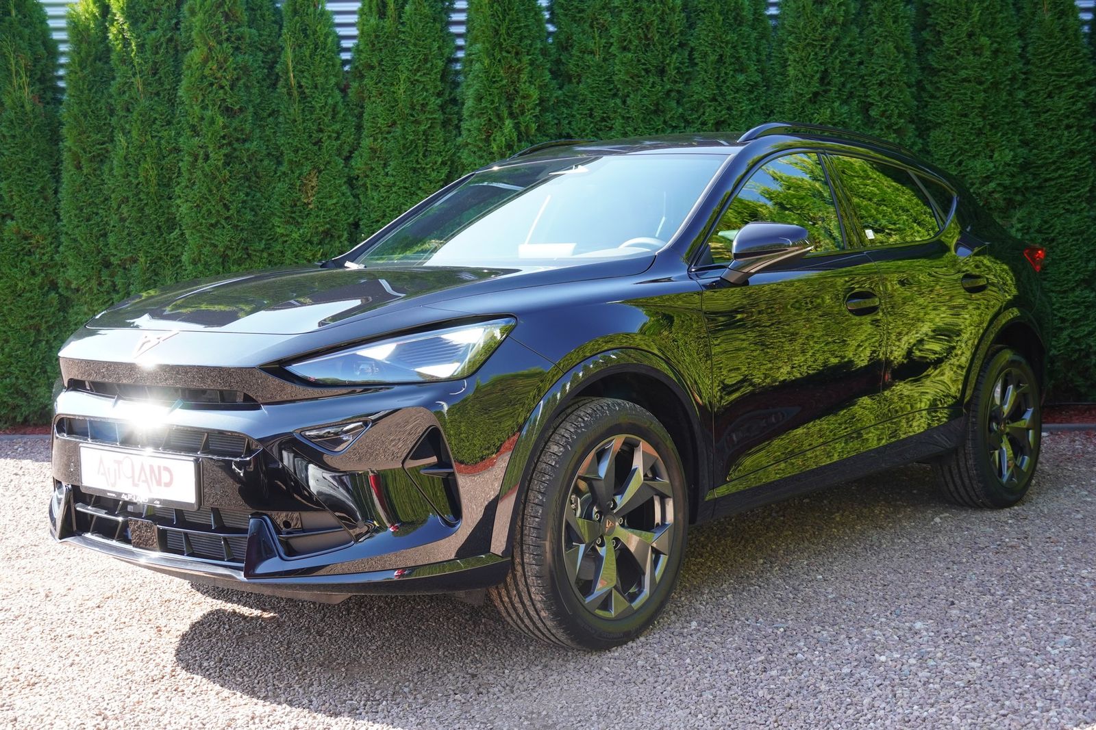 Cupra Formentor 2.0 TSI 4Drive DSG LED ACC AHK imagem 2