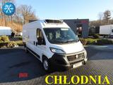 Fiat DUCATO KÜHLKASTENWAGEN -10C STROMVERSORGUNG 230V - Autokran
