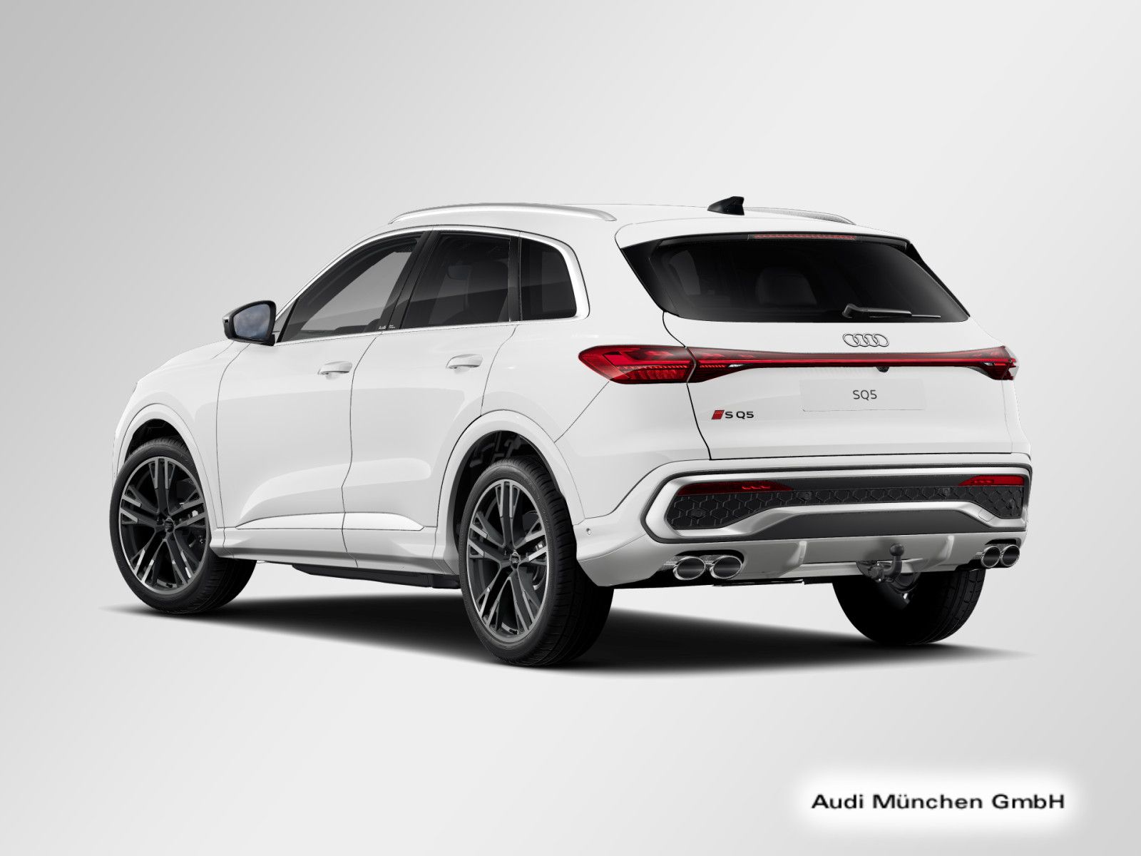 Audi SQ5 - Bild 6