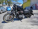 Harley-Davidson Sporster IRON 883 - Offers