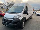 Opel Movano Cargo Kasten 2.2 Diesel L4H2 - gebrauchte Opel Movano aus dem Jahr 2024