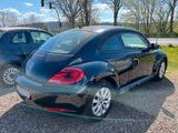 Volkswagen Beetle Lim. +Sitzheiz/Tempo/CD Radio+ - Volkswagen Beetle aus 2012