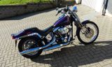 Harley-Davidson Softail Springer - HARLEY-DAVIDSON 2001 SOFTAIL