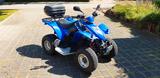 Kymco KXR 250 - KYMCO QUAD KXR 250