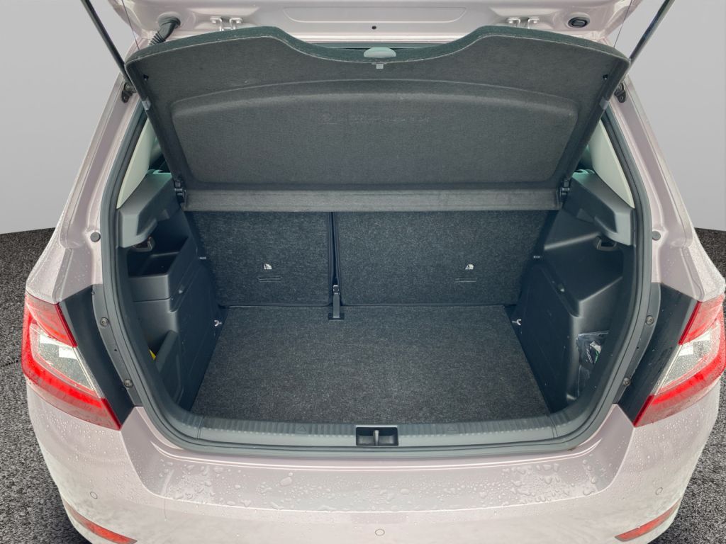 Fahrzeugabbildung SKODA Fabia 1.0 TSI Style