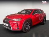 Lexus UX 300e - Lexus UX: 300e