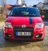 Fiat Panda 100 HP gepflegt - Fiat Panda mit Benzin-Antrieb: Kleinwagen, 100hp