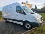 Mercedes-Benz Mercedes Sprinter L2H2 213Cdi  Sortimo Wer... - Mercedes-Benz Sprinter: Sortimo
