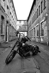 Harley-Davidson Dyna Street Bob - 2011 STREET BOB