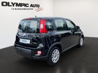 Fiat Panda 1.0 Hybrid Firefly KLIMAANLAGE CITY CRUISE - Image
