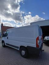 Fiat Ducato geschlossen Buss mit 3 Sitzen weiß - Fiat Ducato in Hannover