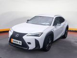 Lexus UX 300h F-Sport Design /Virtual/ACC/FLA/LM - Lexus in Stuttgart