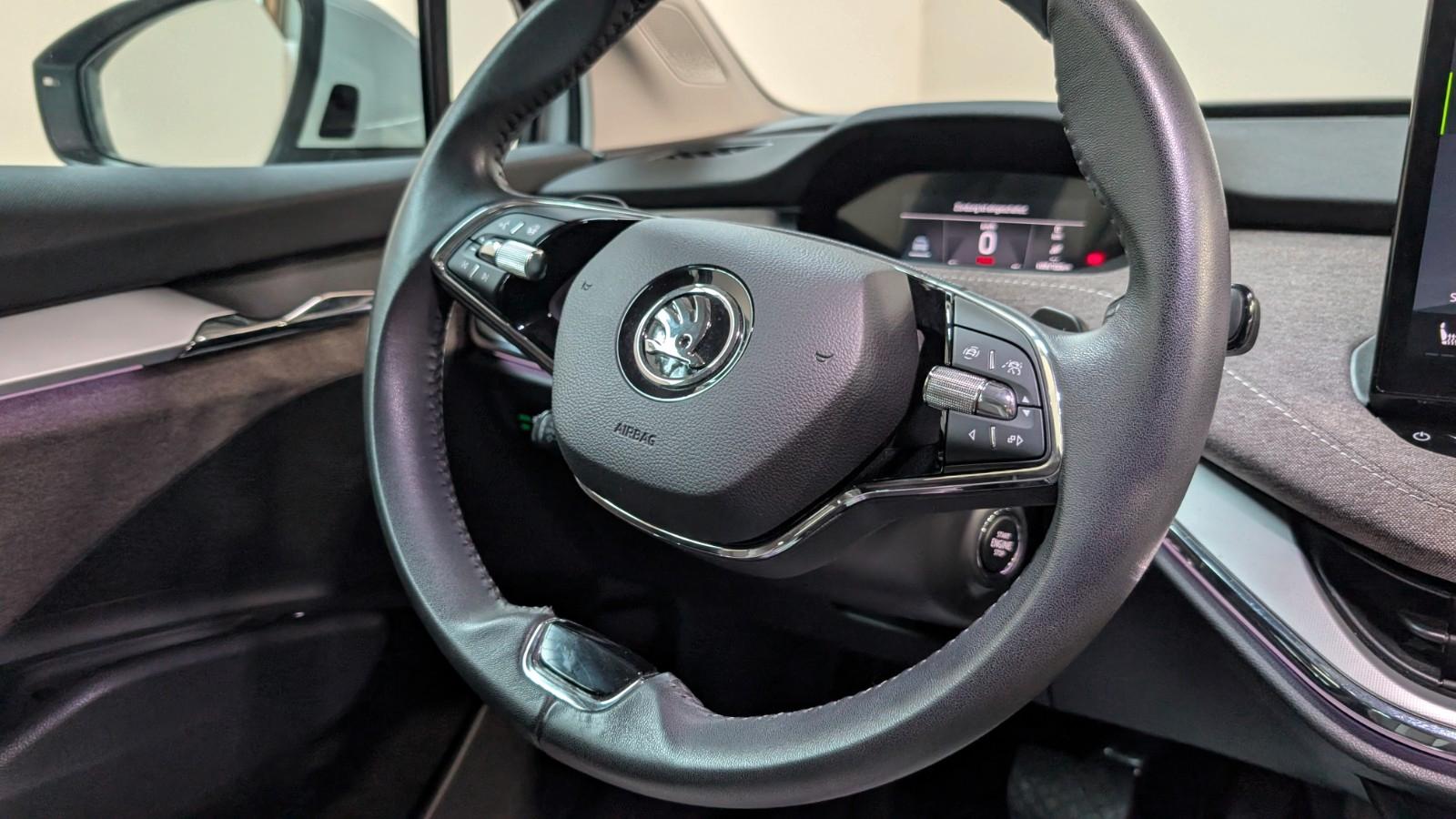 Skoda Enyaq 80 Lodge ACC*LANE*SIDE*KAM*W-PUMPE*19"